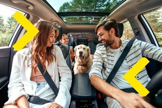 whatsapp image 2026 04 11 at 04.16.10